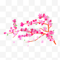 手绘樱花图片_粉红色的樱花树枝