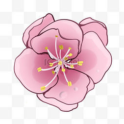 一朵粉嘟嘟的桃花插图