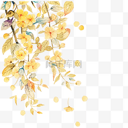 手绘唯美金色花卉插画元素