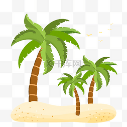 南方夏季沙滩边的椰子树