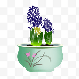 养盆栽图片_紫色花朵美丽盆栽