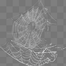 蛛丝图片_恐怖蛛丝蜘蛛网元素
