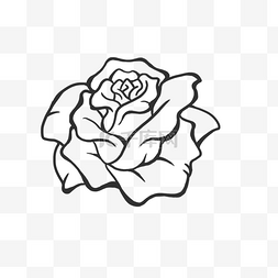花手绘线条图片_手绘花卉装饰复古玫瑰花