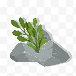 岩石苔藓图片_石头植物岩石