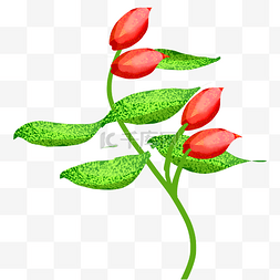 美丽的花朵图案图片_红色花朵图案插图