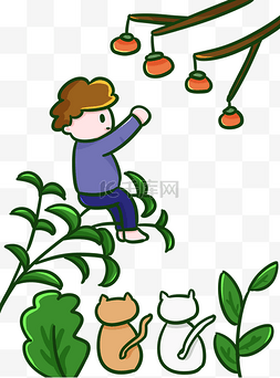 爬树的小孩图片_霜降少年爬树摘柿子猫咪围观