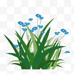 春天的小花图片_春天蓝色的小花插画