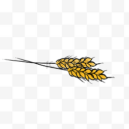 秋收的稻田图片_两根黄色的成熟的稻谷卡通图