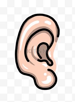手绘器官耳朵插画