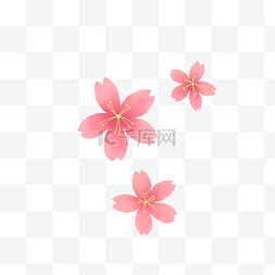 五瓣樱花