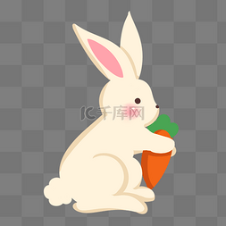 小兔子插画图片_吃萝卜的小兔子插画