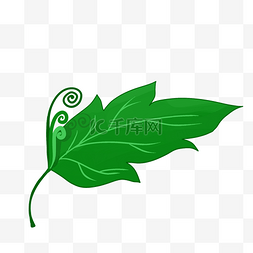 手绘树叶脉络图片_一片绿色的植物叶子