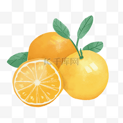 水果黄色橘子小清新手绘风格平面