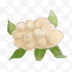 夏季食物手绘菜花png