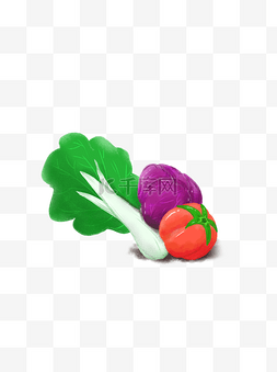 健康蔬菜果蔬大白菜紫包菜红番茄