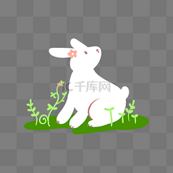 小清新手绘小白兔