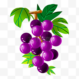 紫色创意葡萄食物元素