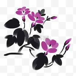 紫色牵牛花水墨插画