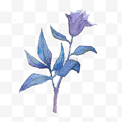 手绘水彩蓝紫色系花朵花束免扣