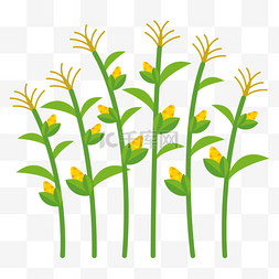 玉米奔跑图片_卡通矢量正在生长的玉米