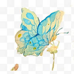 蝴蝶透明翅膀昆虫蓝色PNG唯美