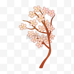 樱花花枝树枝插画