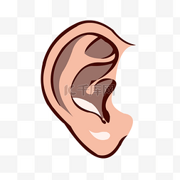 耳钉矢量图耳钉图片_手绘人体器官人体五官耳朵结构