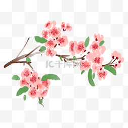 卡通花卉插画图片_植物梅花粉色手绘插画