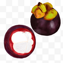 紫色背景主题图片_食物类热带水果山竹手绘高清免抠