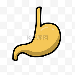 黄色肠胃