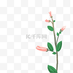 未盛开的花朵图片_绿色的植物免抠图