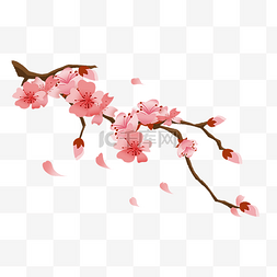 手绘樱花图片_春季盛开的樱花插画