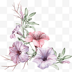 手绘花卉小清新图片_手绘花卉紫色喇叭花