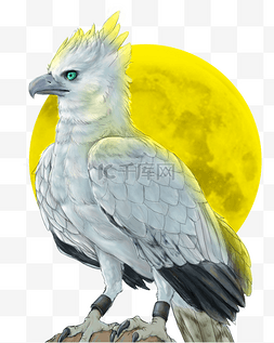 鹰的翅膀卡通图片_月光下的老鹰手绘卡通图