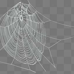 蜘蛛网网子蜘蛛网元素