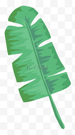 单片叶子元素图片_薄荷绿绿色树叶单片芭蕉叶