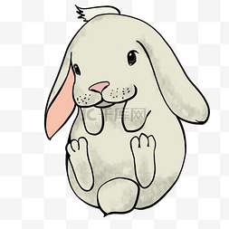 可爱的小白兔手绘插画