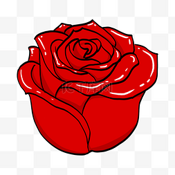 红色玫瑰插画图片_手绘红色玫瑰插画
