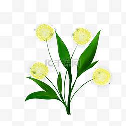 黄色花草植物