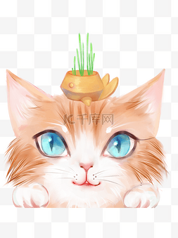 盆栽猫咪装饰元素