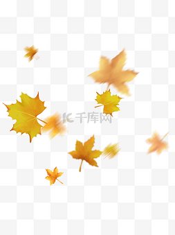 秋天的黄色树叶图片_漂浮的叶子秋风吹落的梧桐叶飘落