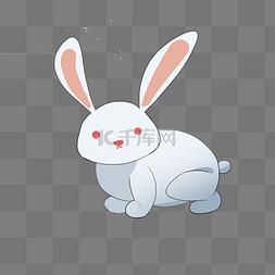 白色的小兔子图片_可爱的小兔子插画