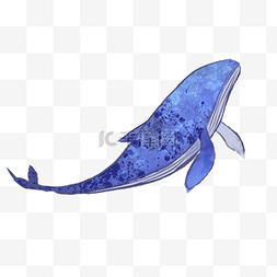 水彩蓝色鲸鱼插画