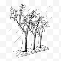 冬天的树枝手绘图片_手绘素描冬天的路边的树装饰素材