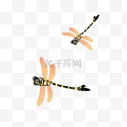 中国风水墨花蜻蜓矢量图
