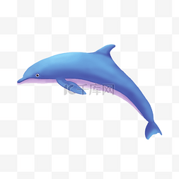 鲸鱼手绘插画图片_飞跃的鲸鱼PNG