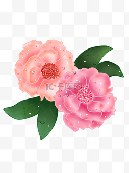 花图片_简约创意手绘风粉色鲜花月季玫瑰