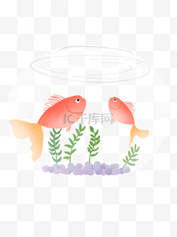 鱼缸里的鱼儿和绿草元素设计