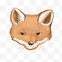 可爱橙色小狐狸手绘