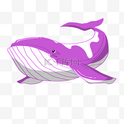 鱼图片_海底游动的鲸鱼